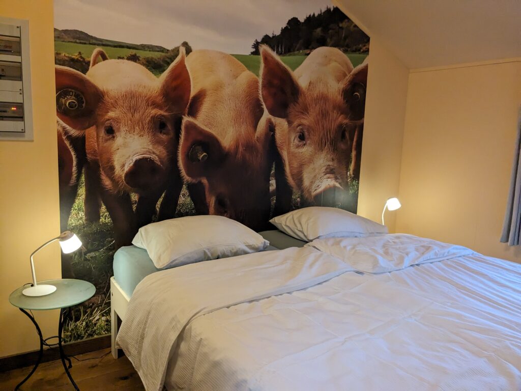 pxl 20240216 115400569.mp