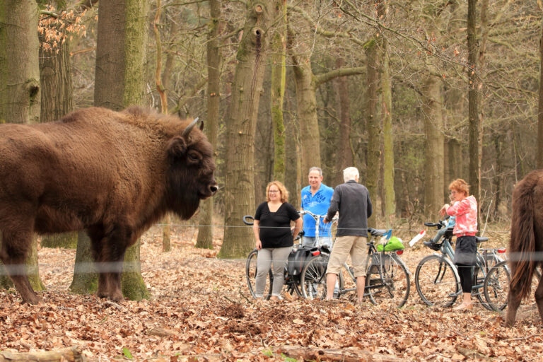 Home Ontmoeting in Natuurgebied De Maashorst